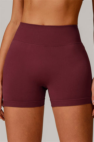 Nova Luxe Shorts