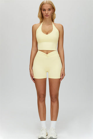 The Dreamy Halter Crop Top
