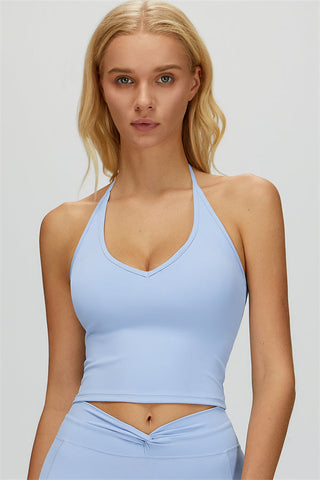 The Dreamy Halter Crop Top