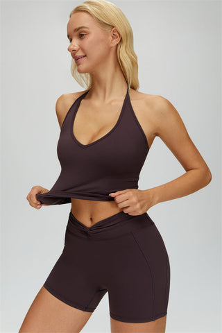 The Dreamy Halter Crop Top