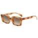 Tortoise/Brown Lens