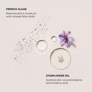 Laura Mercier Ambre Vanille Serum Body Cream 200 mL