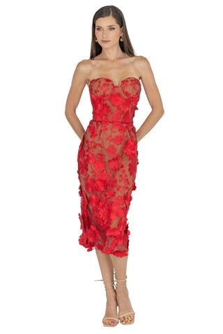 Anni Floral Embroidered Strapless Midi Dress