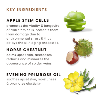 Apple Stem Cell Daily Radiance Cream spf 15