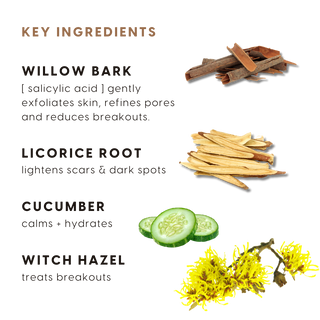 Willow Bark Pore Refining Serum