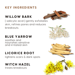 Yarrow & Willow Bark BHA Toner