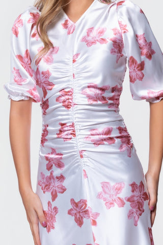 Audrey Dress Short Sleeve (Ivory Pink)