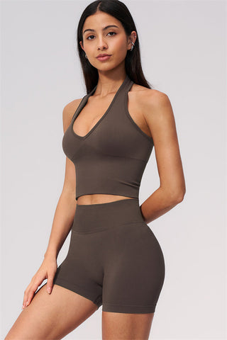 The New Delight Halter Top