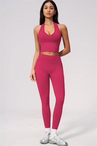 The New Delight Halter Top