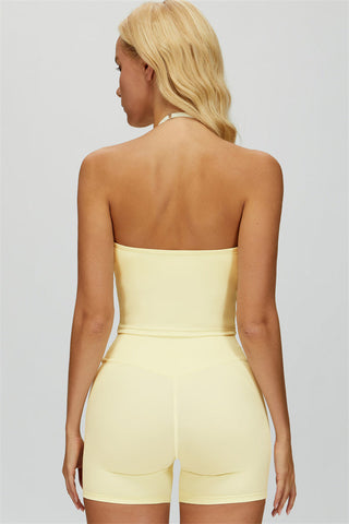 The Dreamy Halter Crop Top
