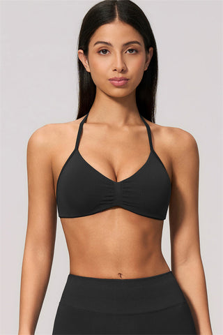 The Velvetine Sports Bra Shorts 2-Piece Set