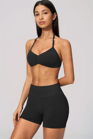 The Velvetine Sports Bra Shorts 2-Piece Set