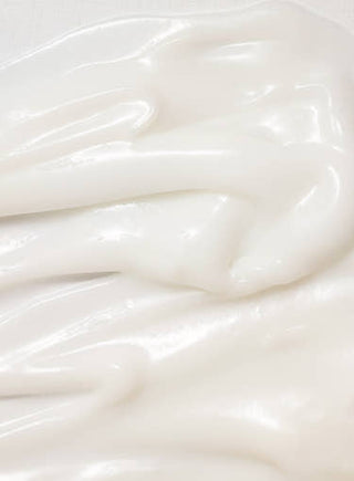 [Beauty of Joseon] Dynasty Cream 100ml x 2ea [Double SET]