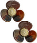 Tiger Eye