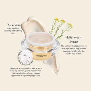 Sunrise Firming Day Cream