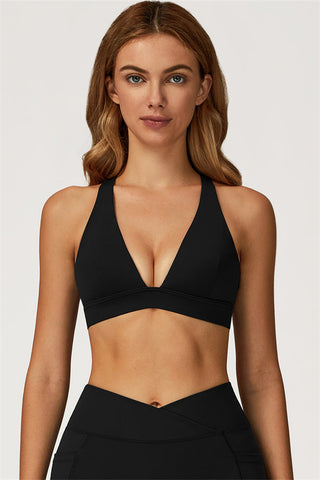 The Glacier Sports Bra