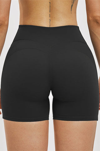 The Zenith Sports Bra Shorts 2-Piece Set