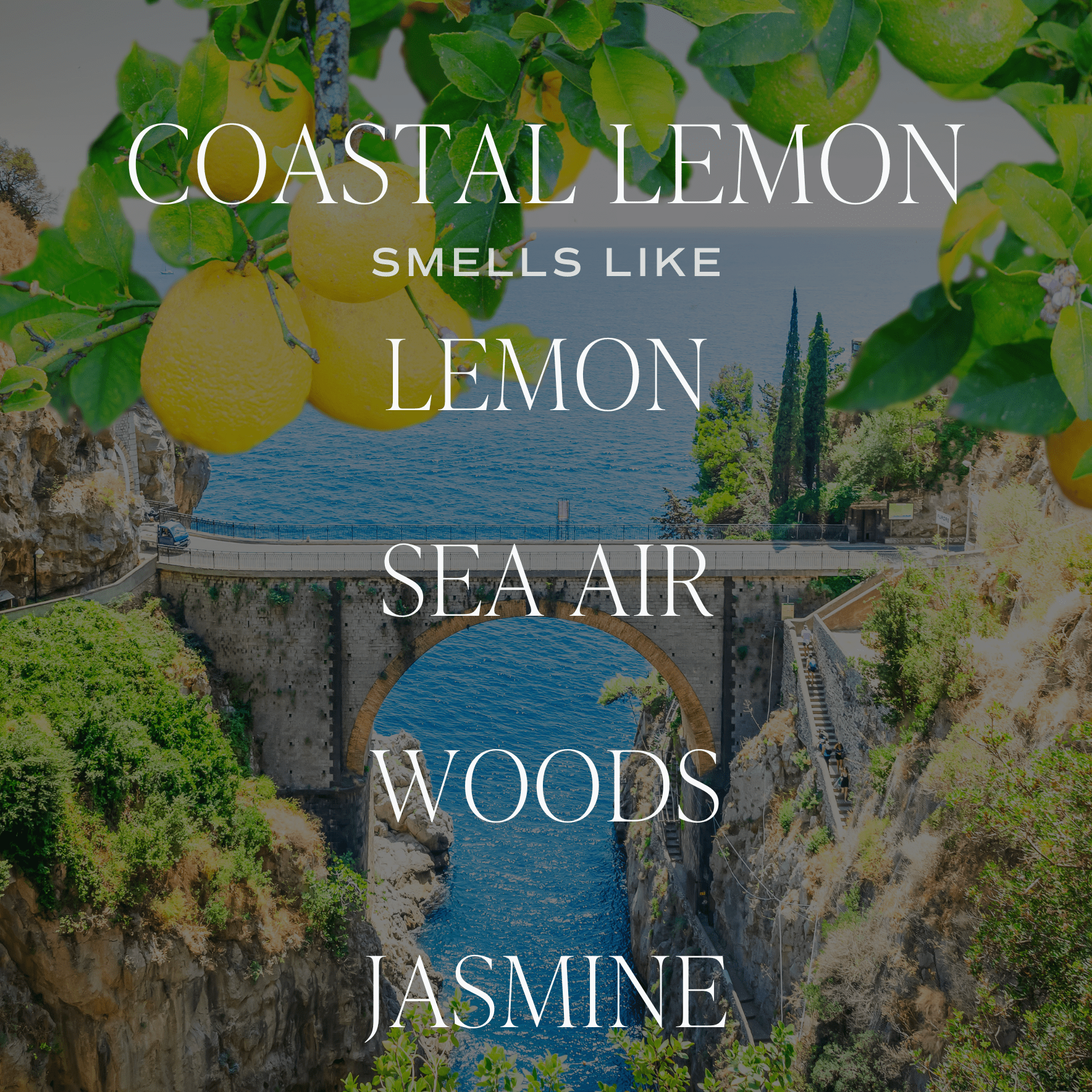 Coastal Lemon Candle