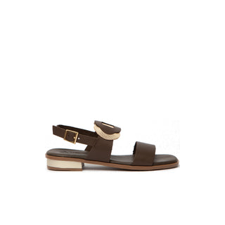 Cala Chestnut