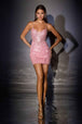 Rose Pink