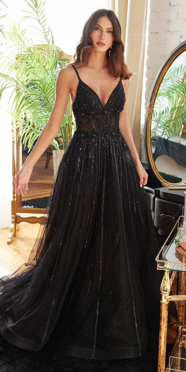 Cinderella Divine CD994 Long A-Line Beaded Tulle Gown Lace Detail V-Neck - Glamourous Grace