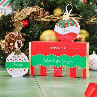 Celebrate the Season | Holiday Ornament Gift Set - Glamourous Grace