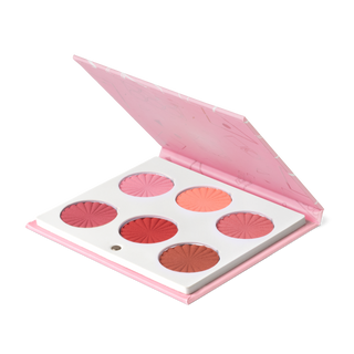 Mini Mix Face Palette - Charm Your Cheeks