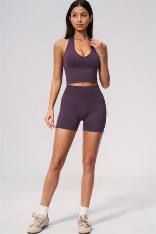 The New Delight Halter Top