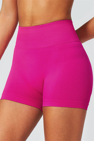 The Horizon Crop Top Shorts 2-Piece Set