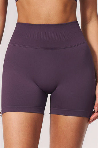 The Allure Sports Bra Shorts 2-Piece Set