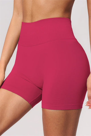 The Allure Sports Bra Shorts 2-Piece Set