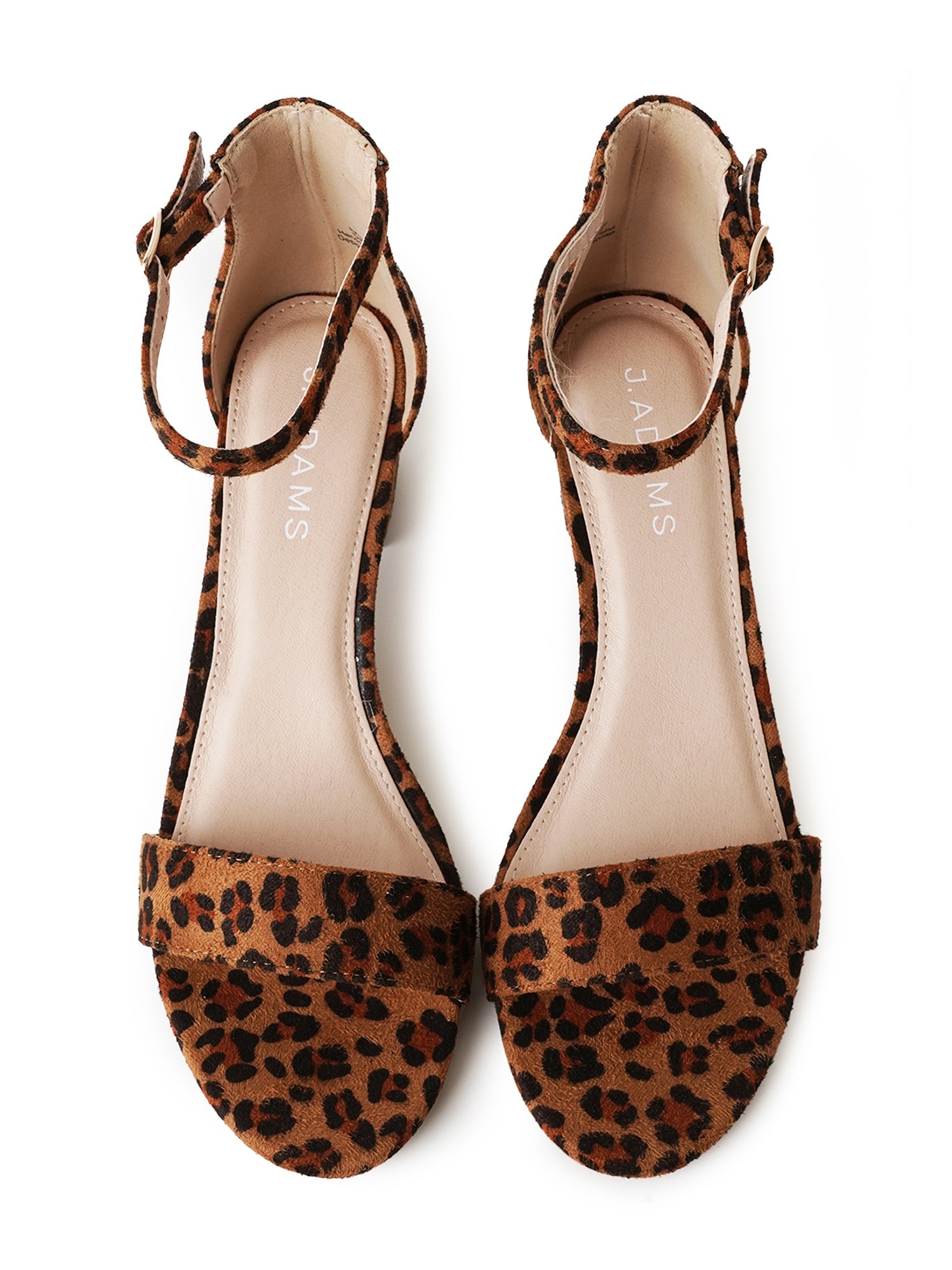 Daisy | Leopard - Glamourous Grace