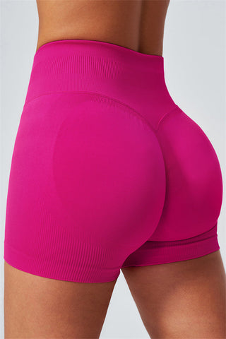 The Horizon Crop Top Shorts 2-Piece Set