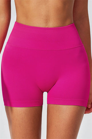 The Horizon Sports Bra Shorts 2-Piece Set