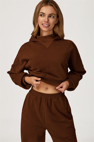 The Axis Crop Hoodie