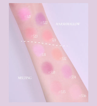 Dinto [Peter&Wendy Collection] Be My Wendy Blusher 2.5g