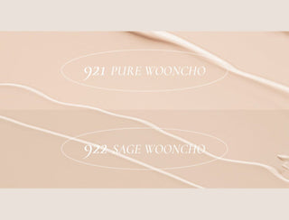 Dinto Wooncho Blur-Matte Foundation 25ml