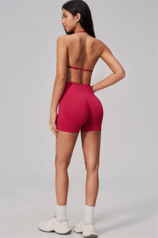The Align Sports Bra Shorts 2-Piece Set