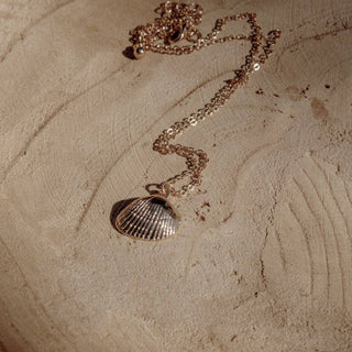 Jennie Shell Necklace
