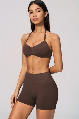 The Velvetine Sports Bra Shorts 2-Piece Set