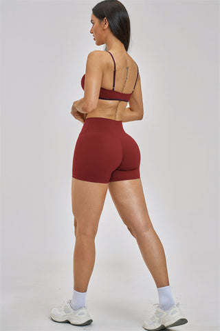 The Seraphine Sports Bra Shorts 2-Piece Set