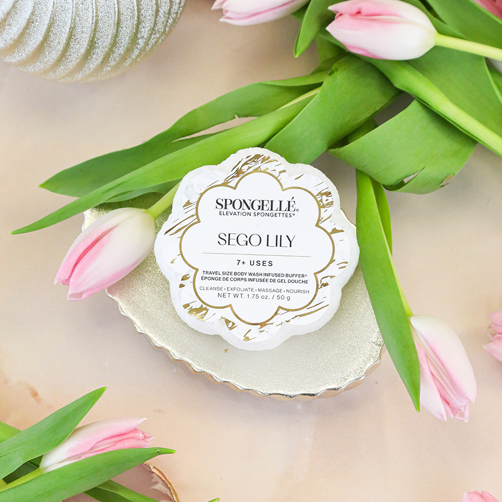Sego Lily | Elevation Spongette - Glamourous Grace