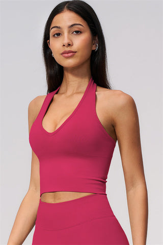 The New Delight Halter Top