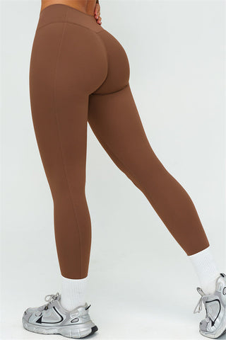 The Lushness Long Sleeve Crop top Leggings 2-Piece Set