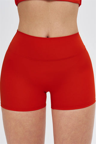 The New Isabella Shorts