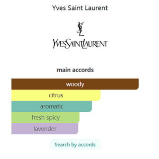 L’Homme Eau de Parfum Yves Saint Laurent 100ml