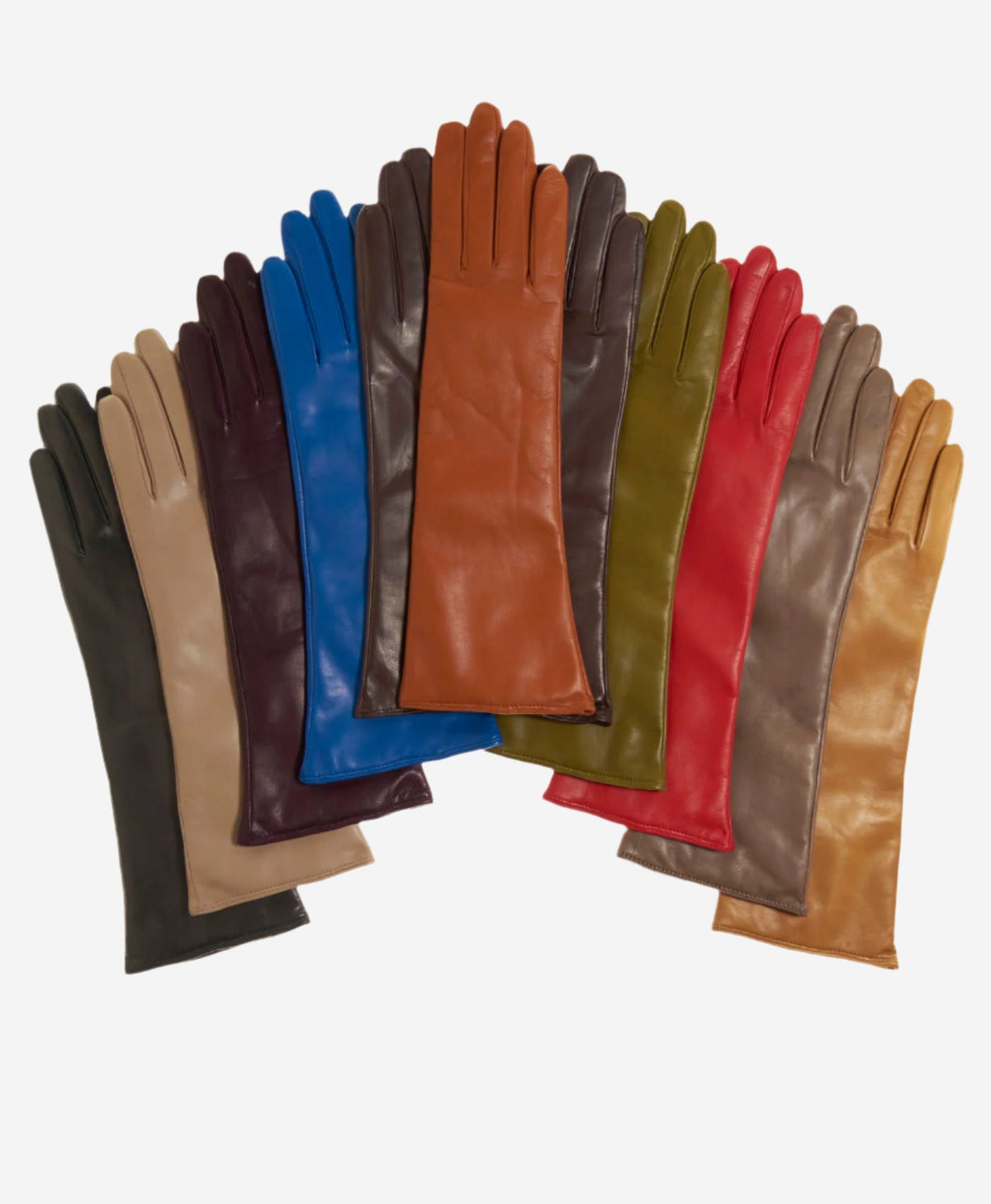 Leonora (beige) - Italian cashmere lined 6-button length leather gloves - Glamourous Grace