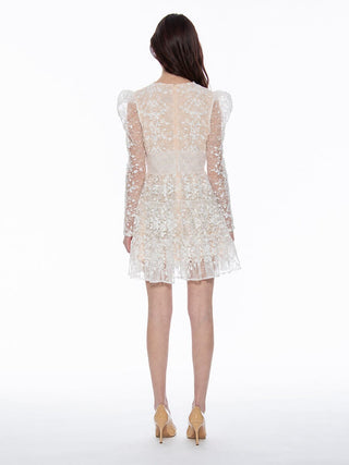Flowery Embroidered Lace V-Neck Mesh Mini Dress