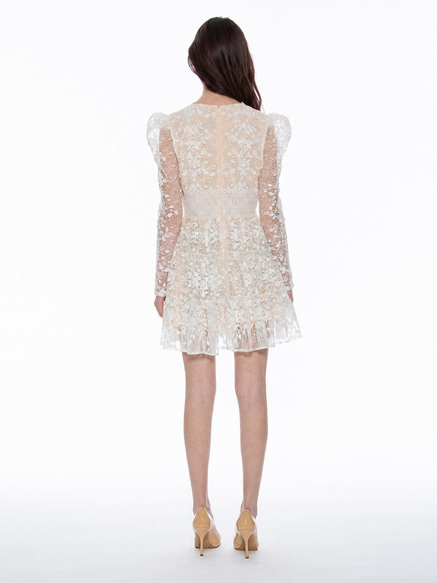 Flowery Embroidered Lace V-Neck Mesh Mini Dress