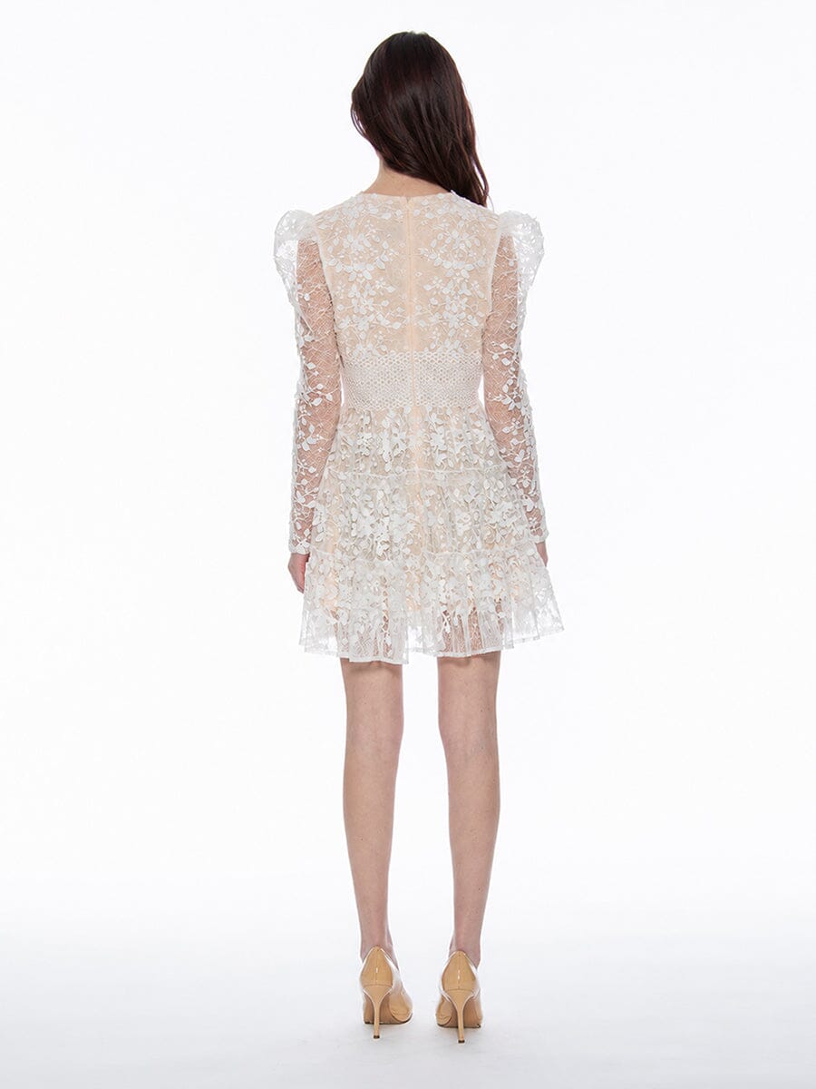 Flowery Embroidered Lace V-Neck Mesh Mini Dress - Glamourous Grace